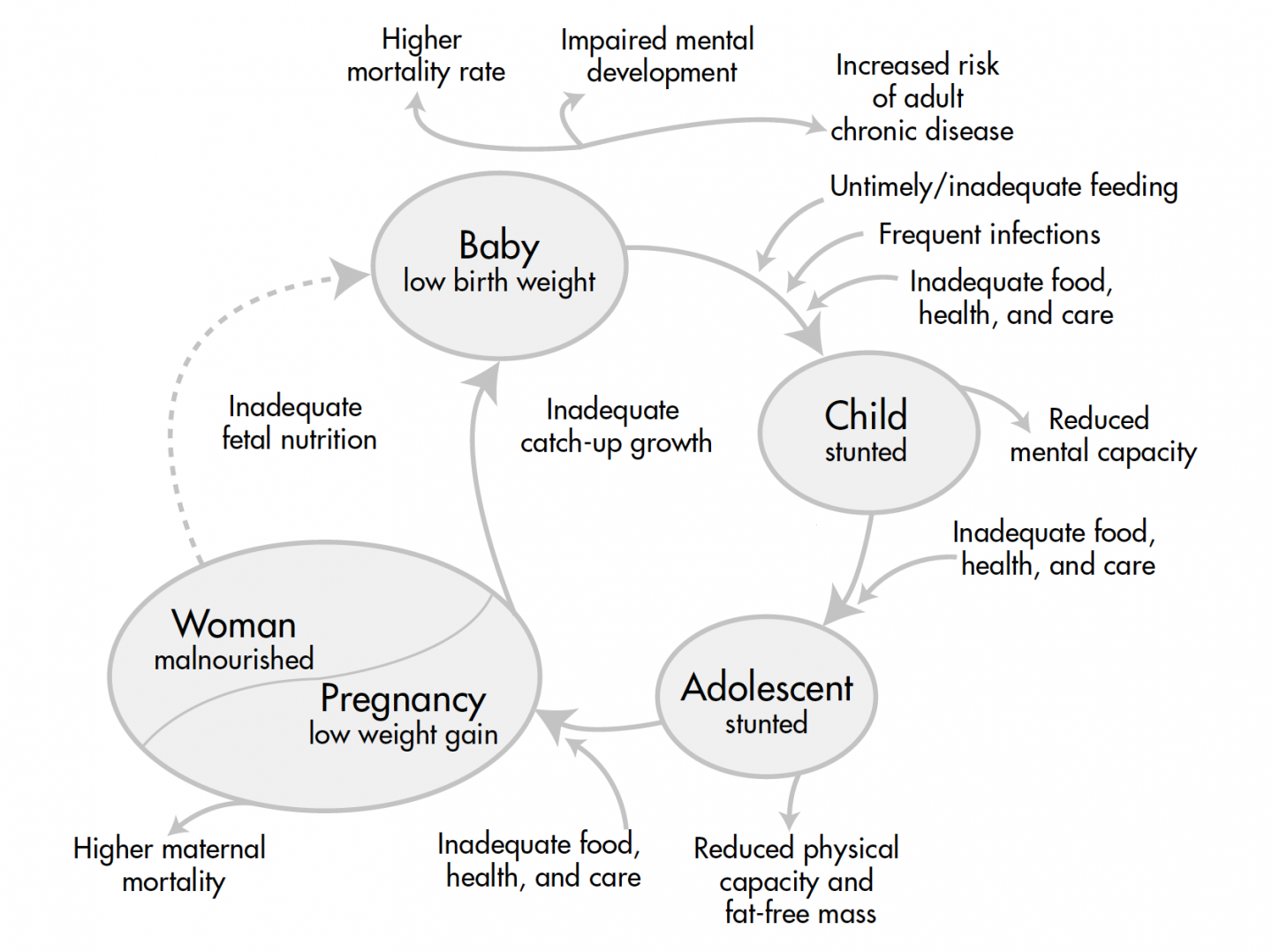 Healthy Mothers and Healthy Newborns: The Vital Link | PRB